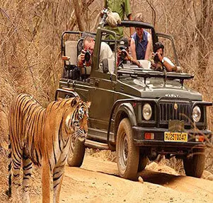 Rajasthan-wildlife-special-tour-package